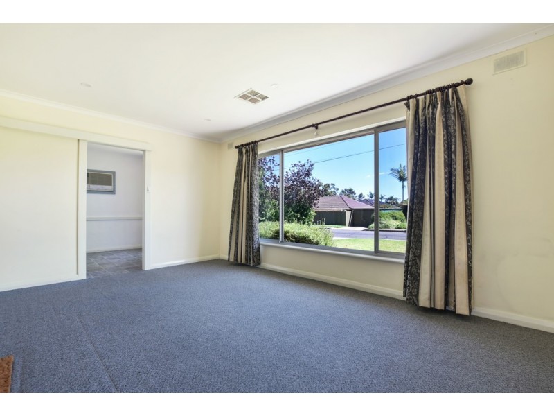 1 Pitcairn Avenue, Marion SA 5043