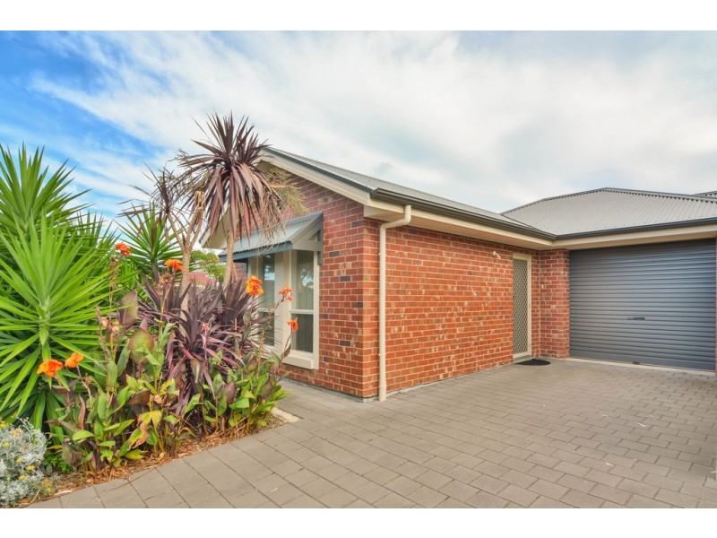 7 Albert Street, Ascot Park SA 5043