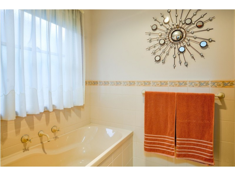 6 Doreen Street, Oaklands Park SA 5046