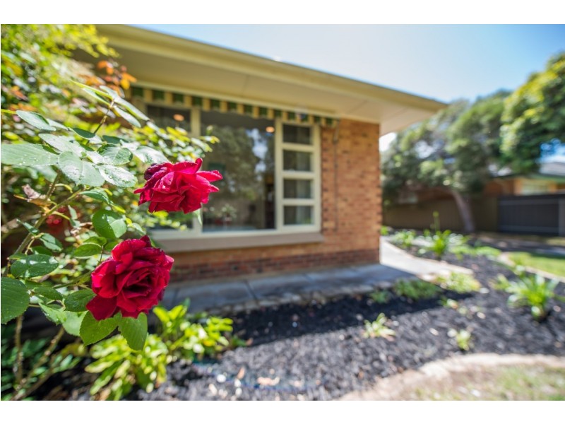 23 Minchinbury Terrace, Marion SA 5043