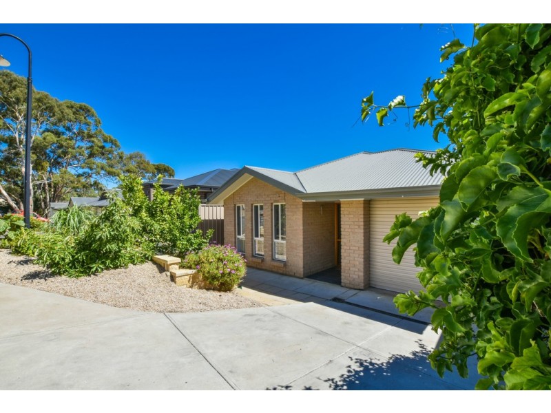 11 Maplewood Court, Flagstaff Hill SA 5159