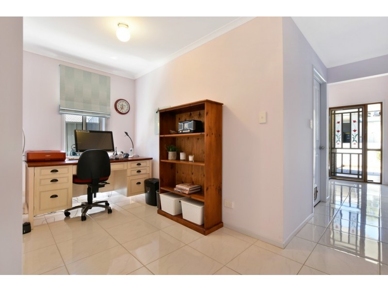 11 Maplewood Court, Flagstaff Hill SA 5159