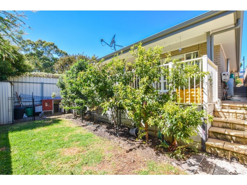 11 Maplewood Court, Flagstaff Hill SA 5159