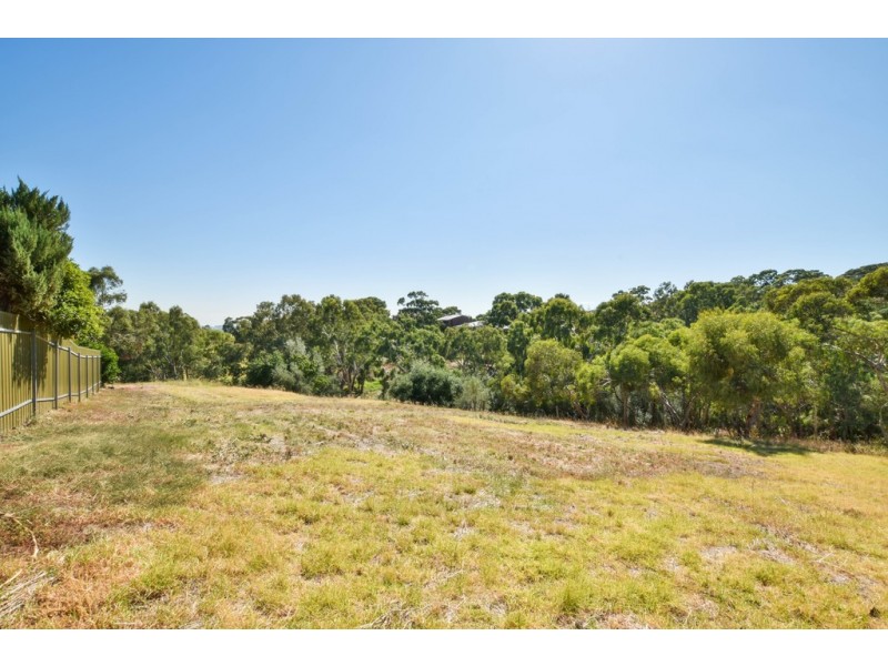 84 Quinton Court, Pasadena SA 5042