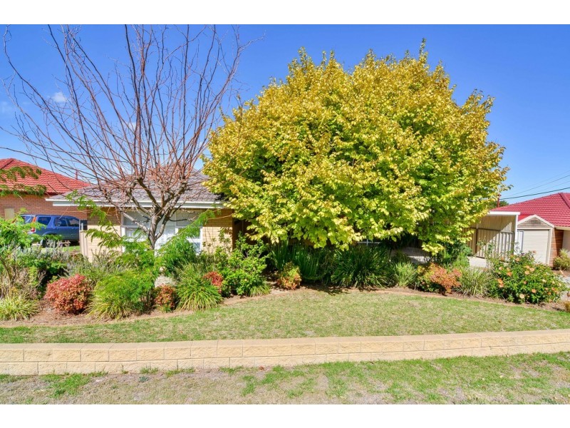 3 Riesling Ave, Reynella East SA 5161