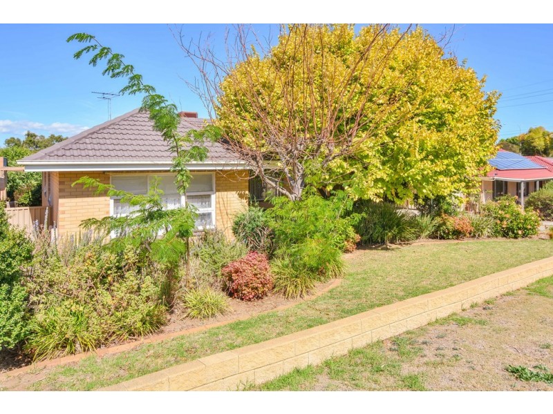 3 Riesling Ave, Reynella East SA 5161