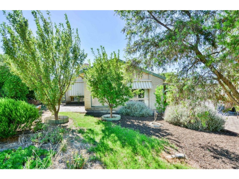 14 Dickerson Crescent, Trott Park SA 5158