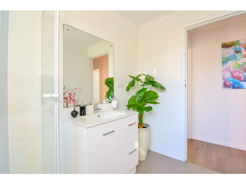 2/34 Florence Street, Goodwood SA 5034