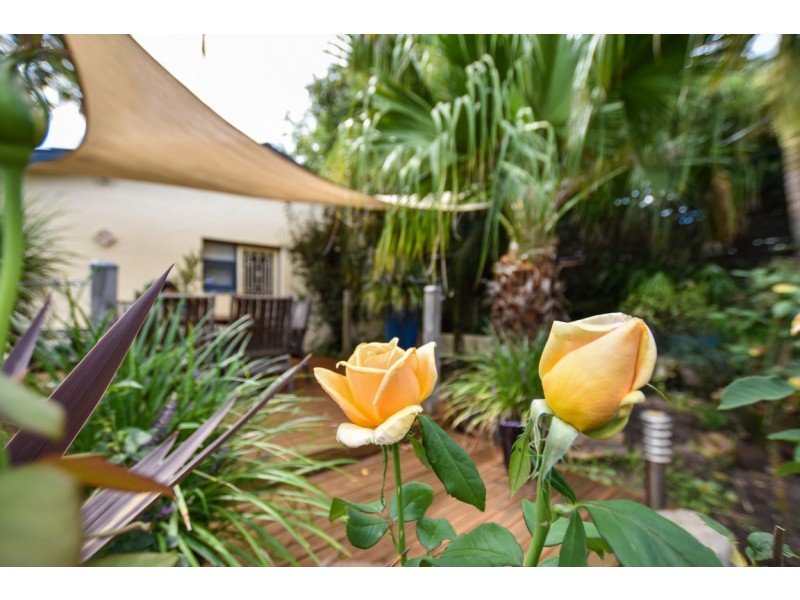 4 Perkins Road, Morphett Vale SA 5162