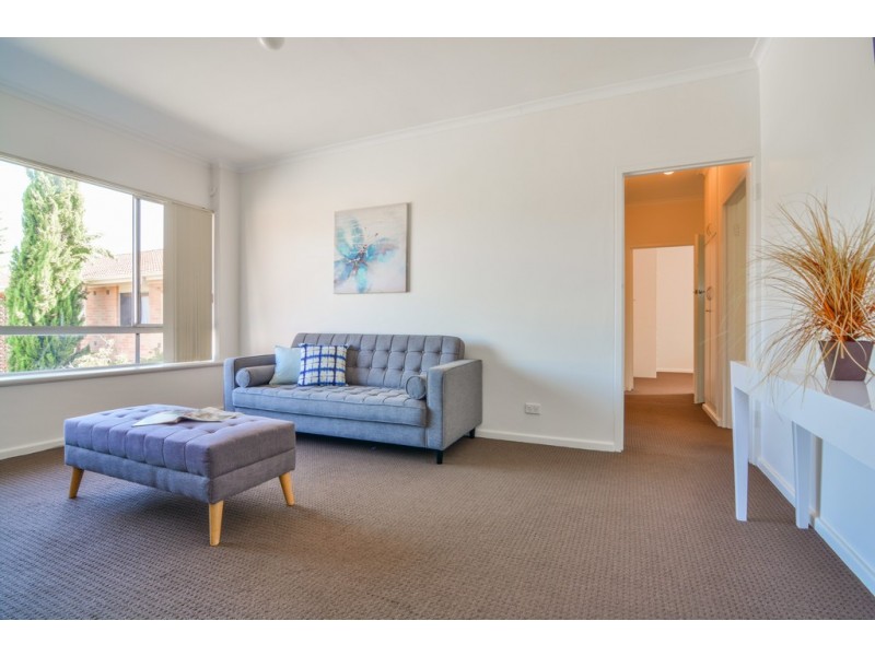 10-23 Tudor Street, Dulwich SA 5065