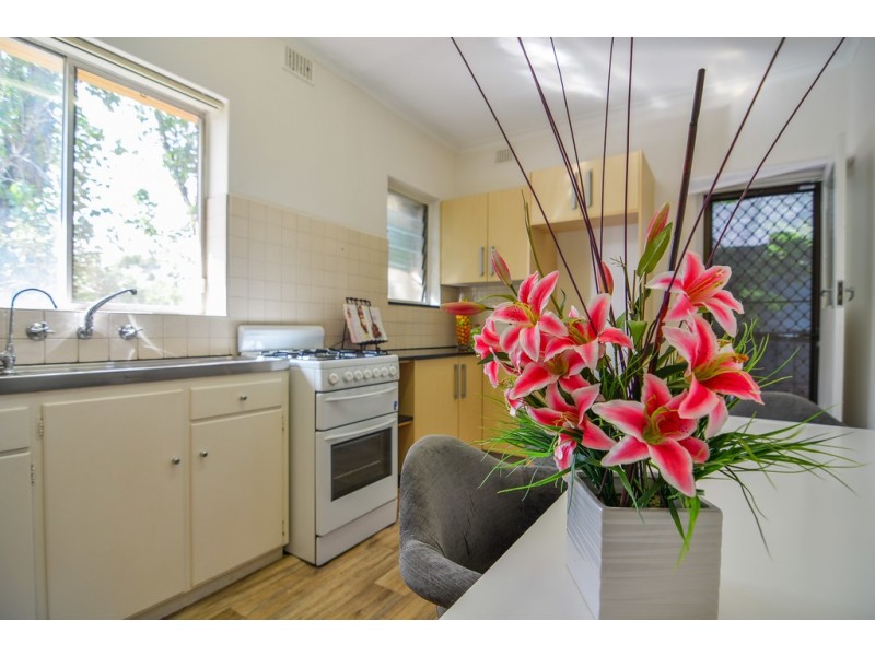 10-23 Tudor Street, Dulwich SA 5065