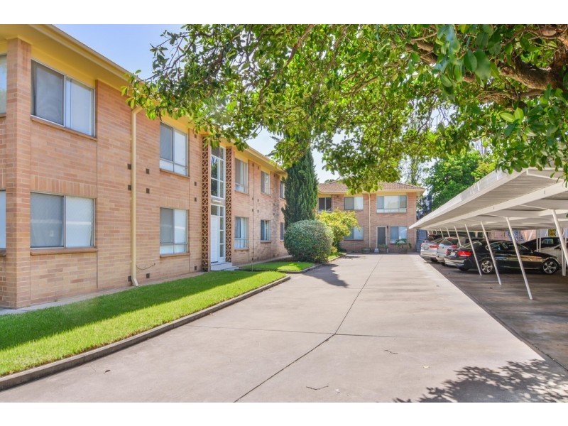 10-23 Tudor Street, Dulwich SA 5065