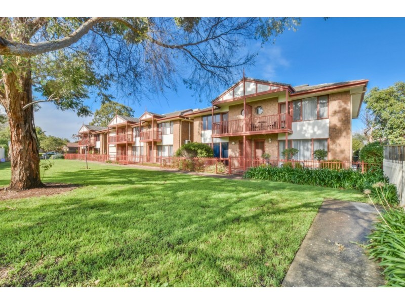 5/19 Peppertree Grove, Oaklands Park SA 5046