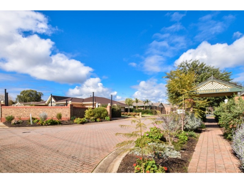 5/19 Peppertree Grove, Oaklands Park SA 5046