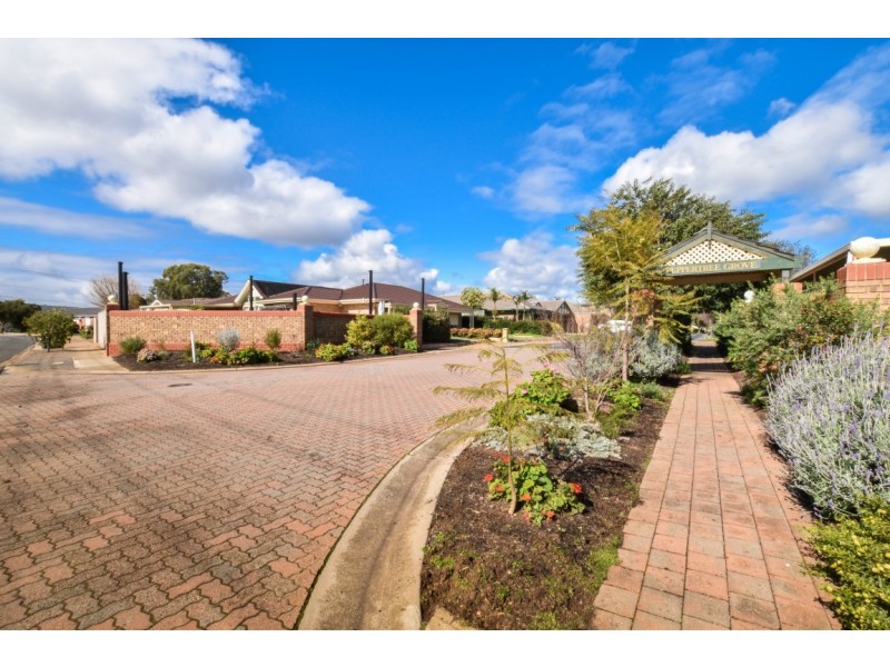 5/19 Peppertree Grove, Oaklands Park SA 5046