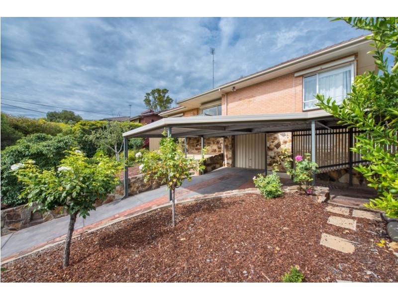 19 Leila Street, Bedford Park SA 5042