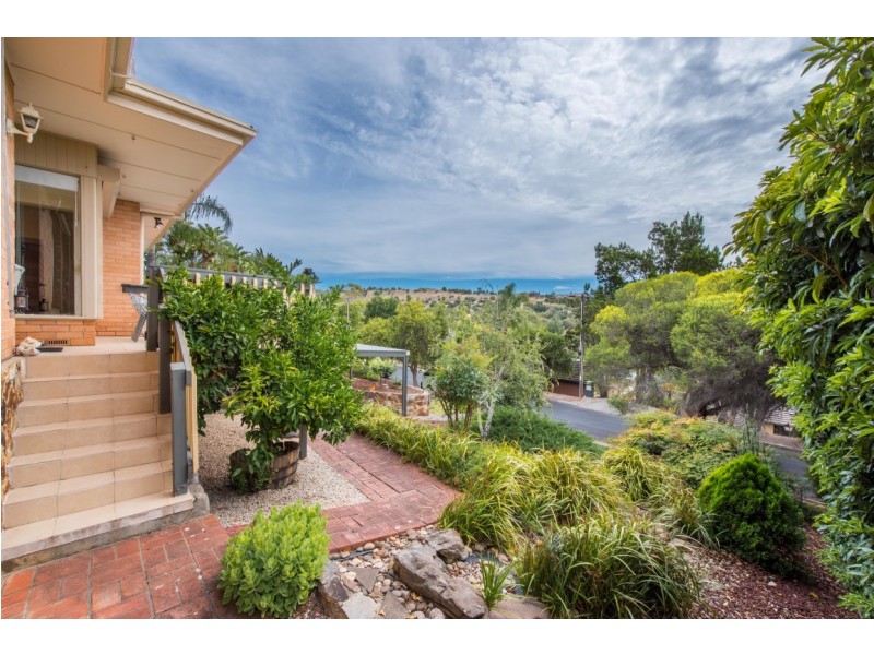 19 Leila Street, Bedford Park SA 5042