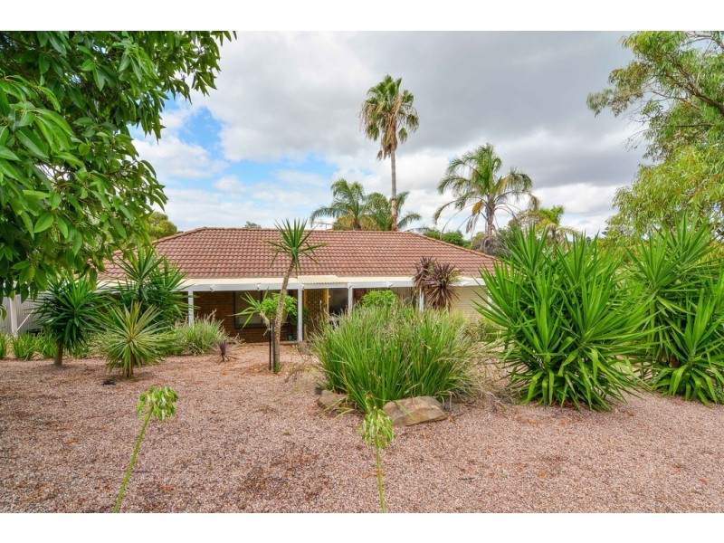 26 Rees Street, Sheidow Park SA 5158