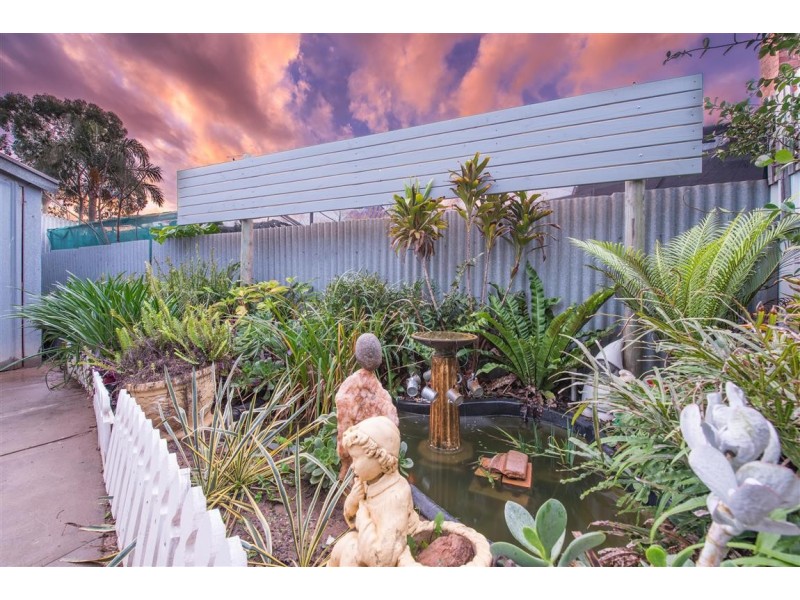 14 Cashel Street, St Marys SA 5042