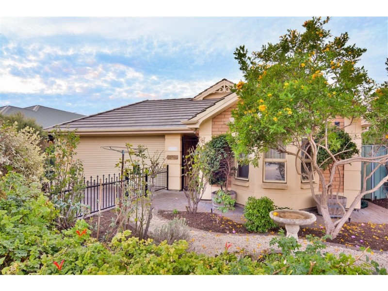 45 Barry Road, Oaklands Park SA 5046