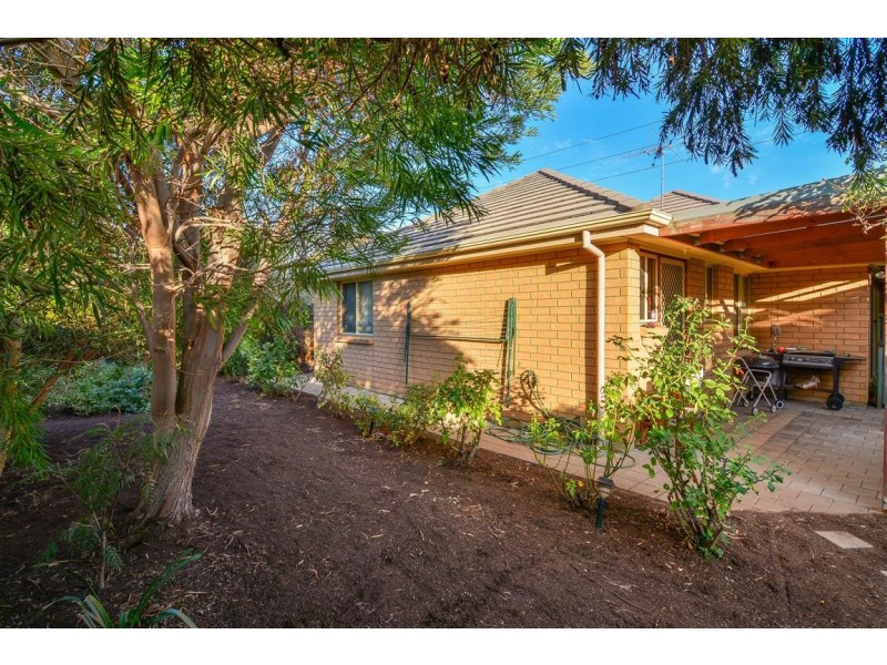 45 Barry Road, Oaklands Park SA 5046