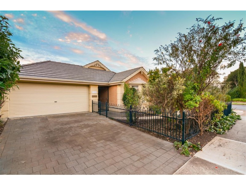 45 Barry Road, Oaklands Park SA 5046