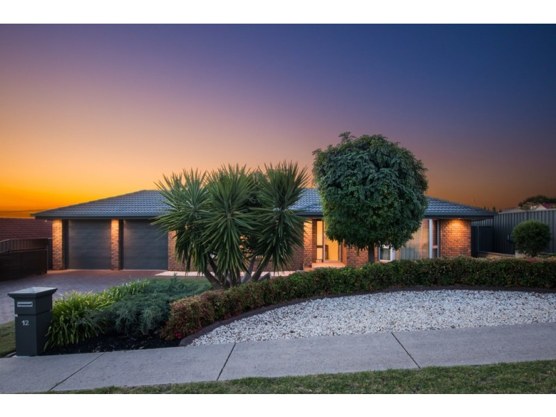 12 Tigress Drive, Hallett Cove SA 5158