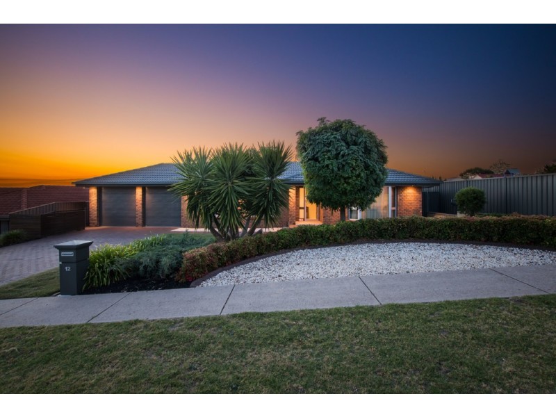 12 Tigress Drive, Hallett Cove SA 5158