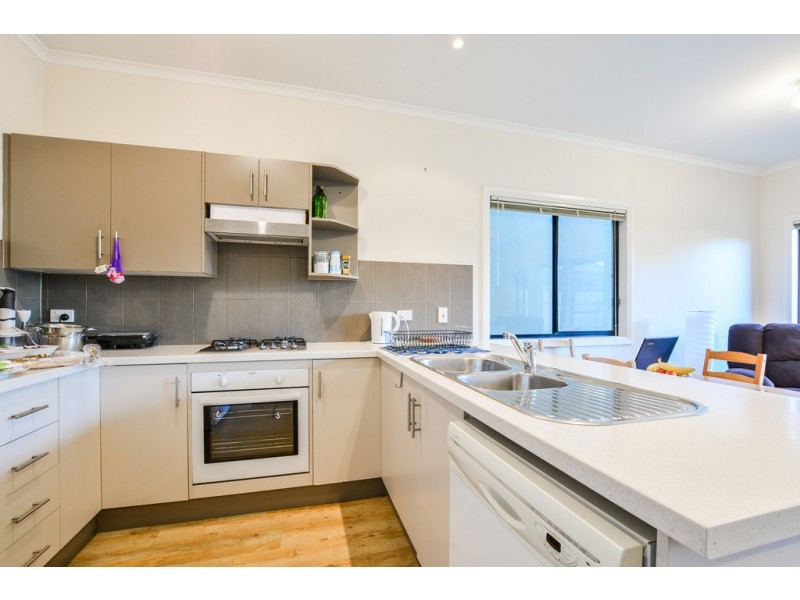 7 Brian Street, Marion SA 5043