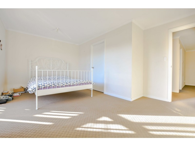 7 Brian Street, Marion SA 5043