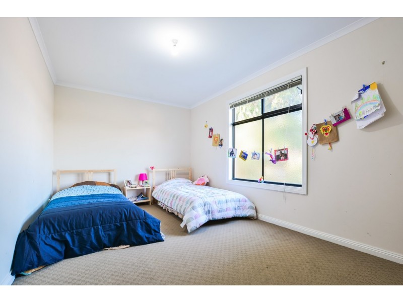 7 Brian Street, Marion SA 5043