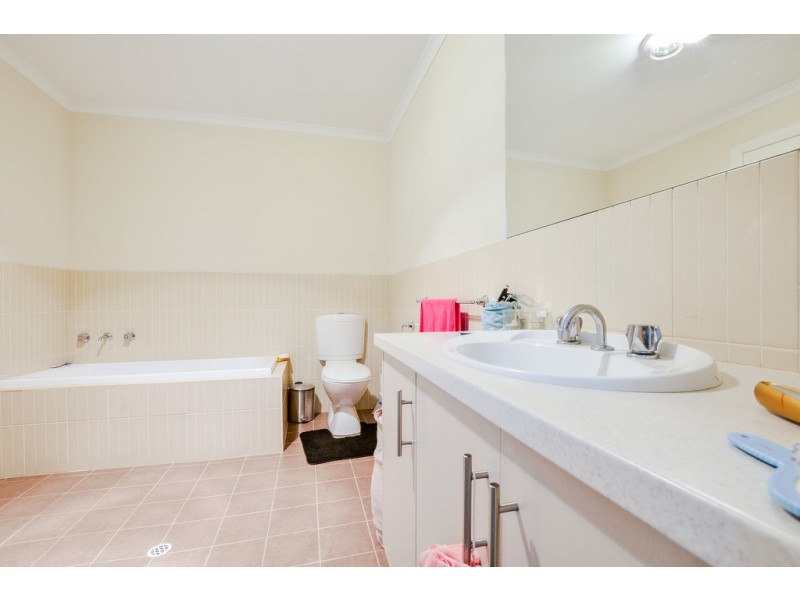 7 Brian Street, Marion SA 5043