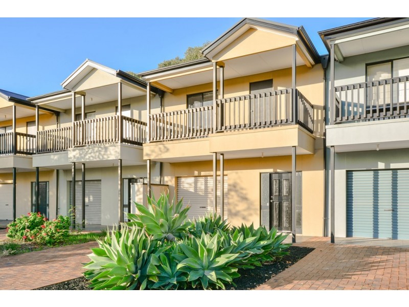 7 Brian Street, Marion SA 5043