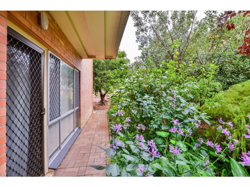 1/11 Helenslea Ave, Brooklyn Park SA 5032