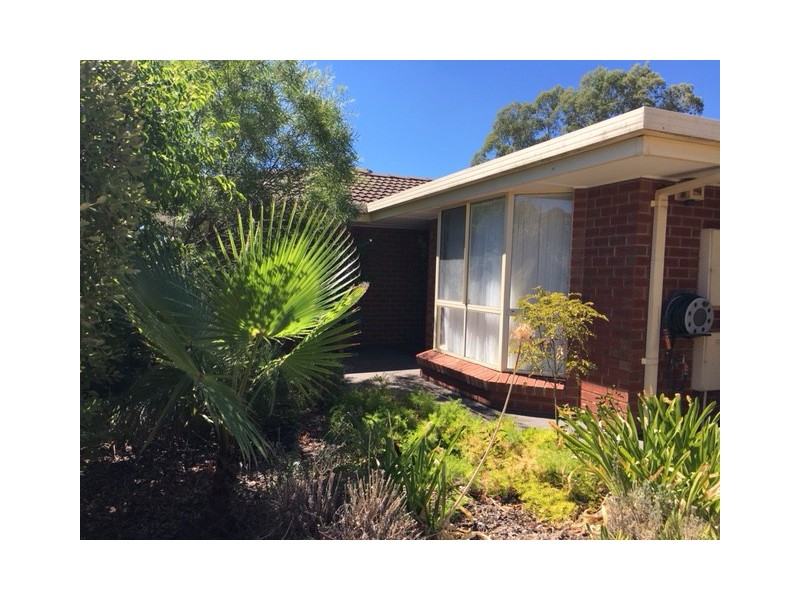 11 Songlark Grove, Flagstaff Hill SA 5159