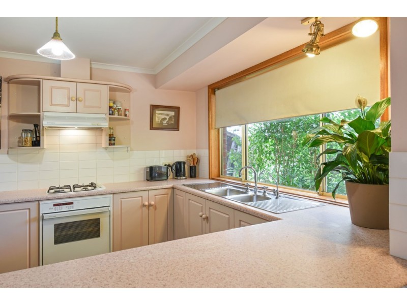 11 Songlark Grove, Flagstaff Hill SA 5159