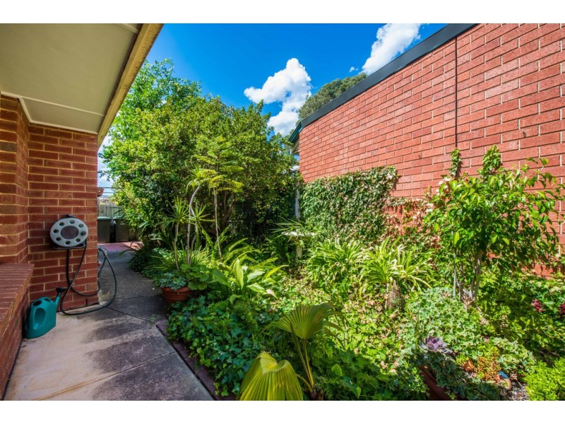 11 Songlark Grove, Flagstaff Hill SA 5159