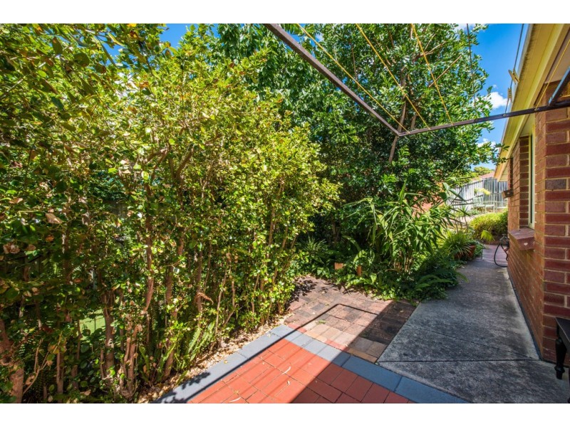 11 Songlark Grove, Flagstaff Hill SA 5159