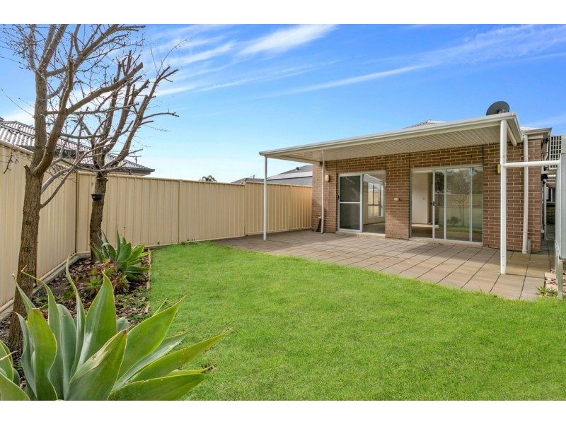 4 Brian Street, Marion SA 5043