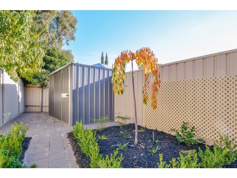6a Carlow Street, Sturt SA 5047