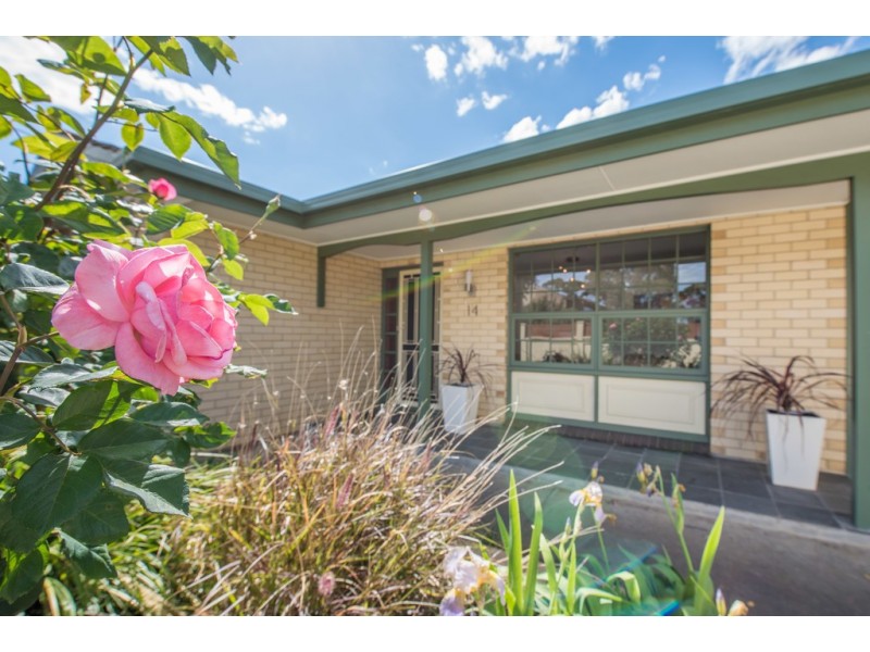 14 Austral Terrace, Morphettville SA 5043
