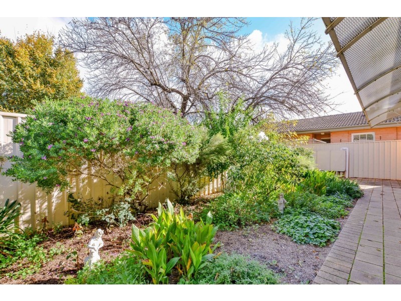 25d Lindfield Avenue, Edwardstown SA 5039