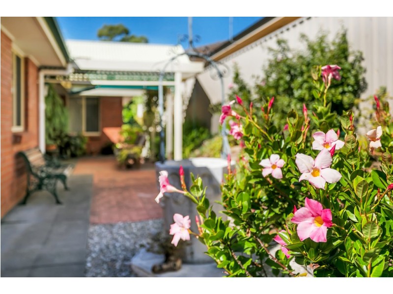 2 Egret court, Flagstaff Hill SA 5159