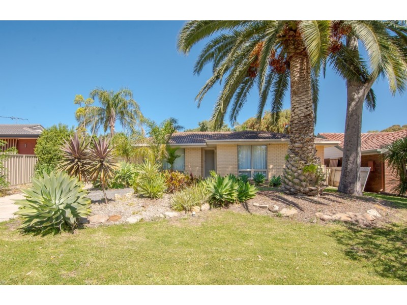 77 Regency Road, Happy Valley SA 5159