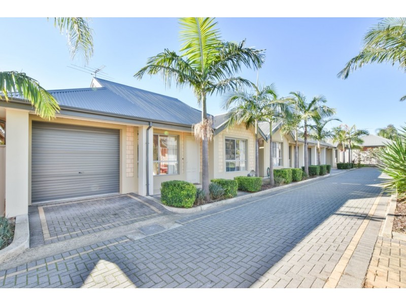 31b Bricknell Street, Magill SA 5072