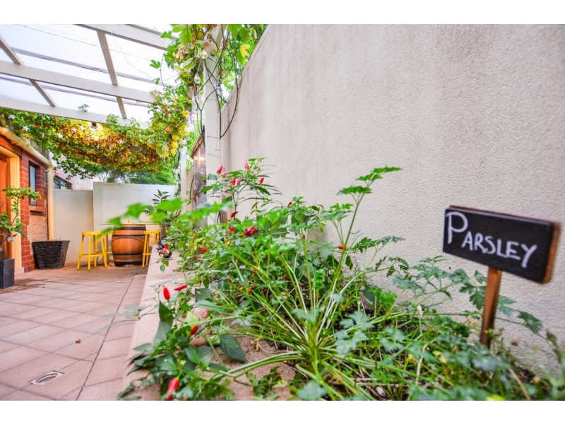 2-1 Barry Road, Oaklands Park SA 5046