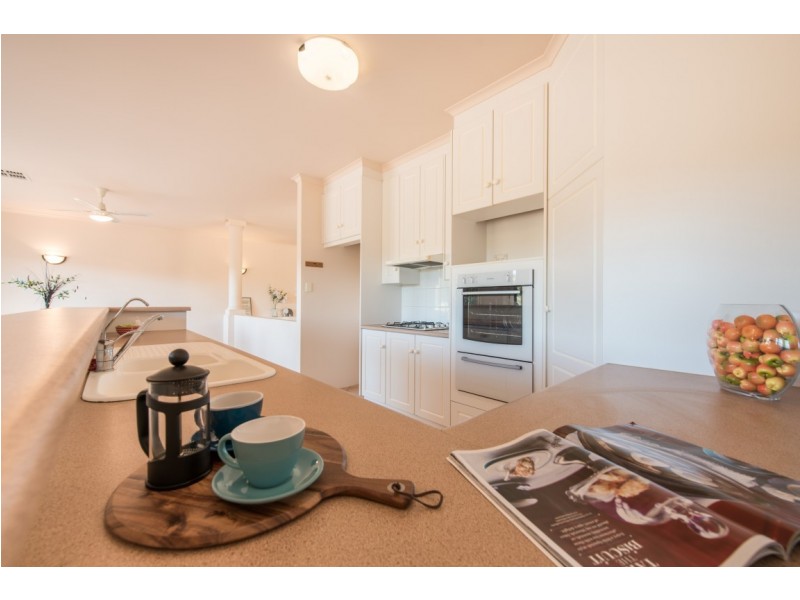 43 Sandalwood Crescent, Flagstaff Hill SA 5159