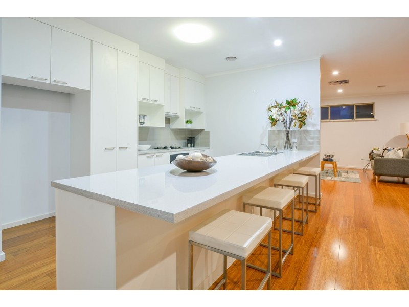 11 Shell Street, Seaford Meadows SA 5169