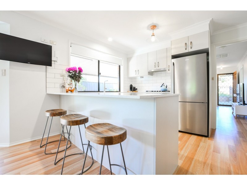 19 Frontignac Court, Wynn Vale SA 5127