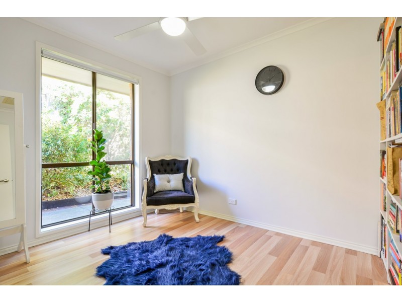 19 Frontignac Court, Wynn Vale SA 5127